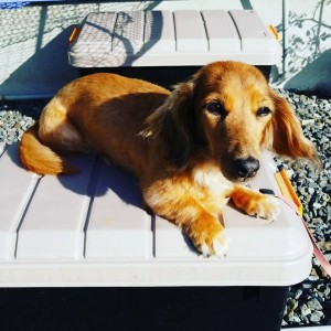 28782927_1670304469728512_227207978513172713_n