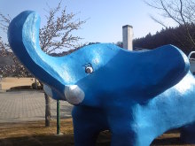 $リピカ洗車ブログ-象さん