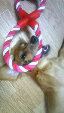 $リピカ洗車ブログ