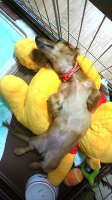 $リピカ洗車ブログ