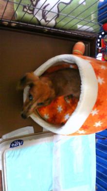 $リピカ洗車ブログ