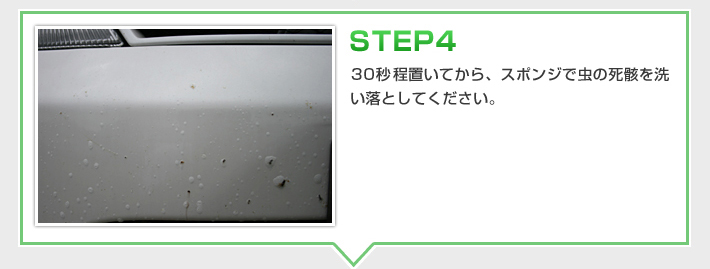 STEP4　30秒程置いてから、スポンジで虫の死骸を洗い落としてください。